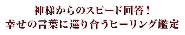 タイトル
