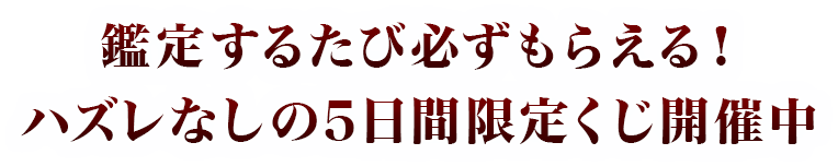 �^�C�g��