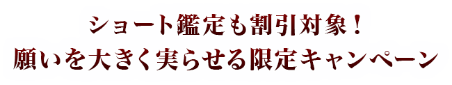 �^�C�g��