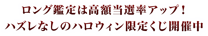 �^�C�g��