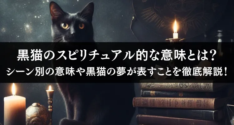 黒猫のスピリチュアル的な意味とは？シーン別の意味や黒猫の夢が表すことを徹底解説！